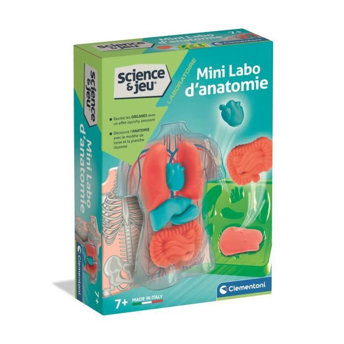 Mini Labo d'anatomie CLEMENTONI