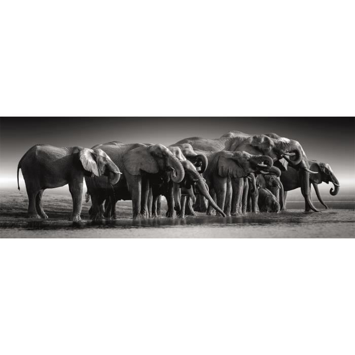 CLEMENTONI - Compact 1000 pieces Panorama - Herd of Giants