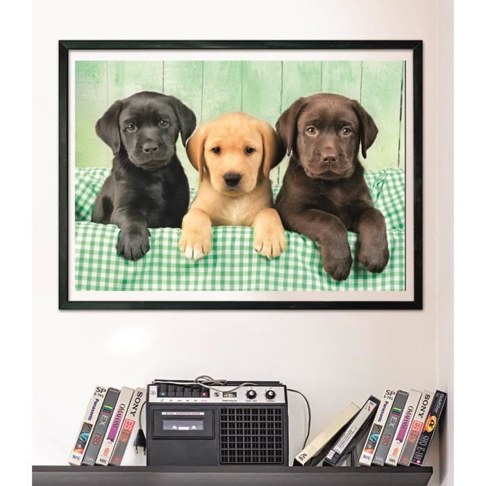 CLEMENTONI - Compact 1000 pieces - Three Labs