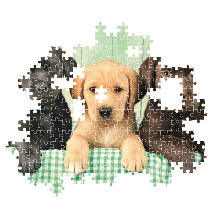 CLEMENTONI - Compact 1000 pieces - Three Labs