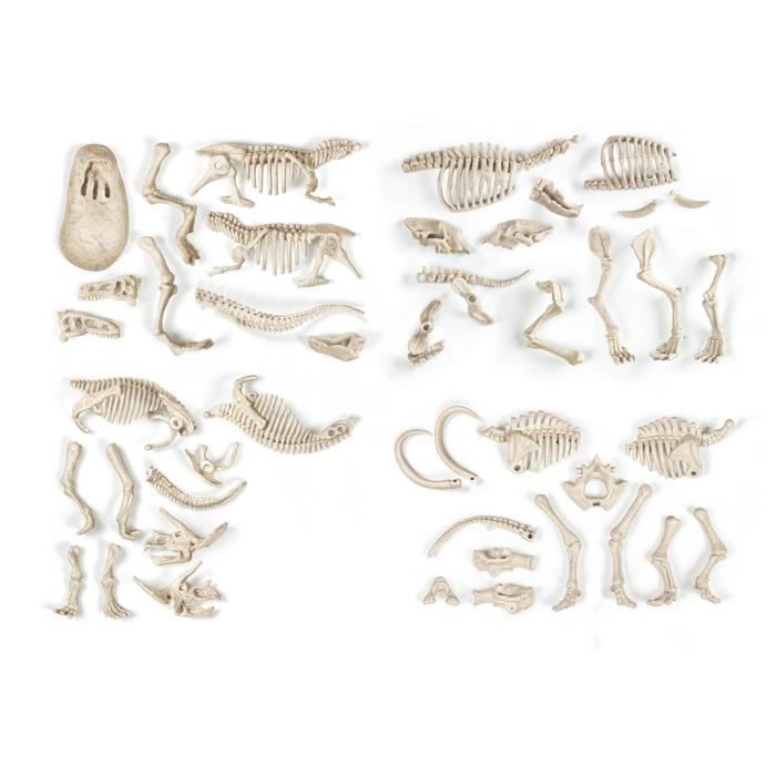 Clementoni - Science & Jeu - ArchÈo Ludic - Proies et PrÈdateurs