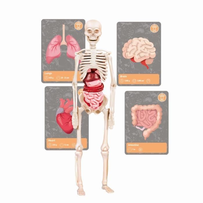 Clementoni - Sciences et jeu - L'histoire de la vie sur Terre - RÈalitÈ Virtuelle - Plus de 50 expÈriences - FabriquÈ en Italie