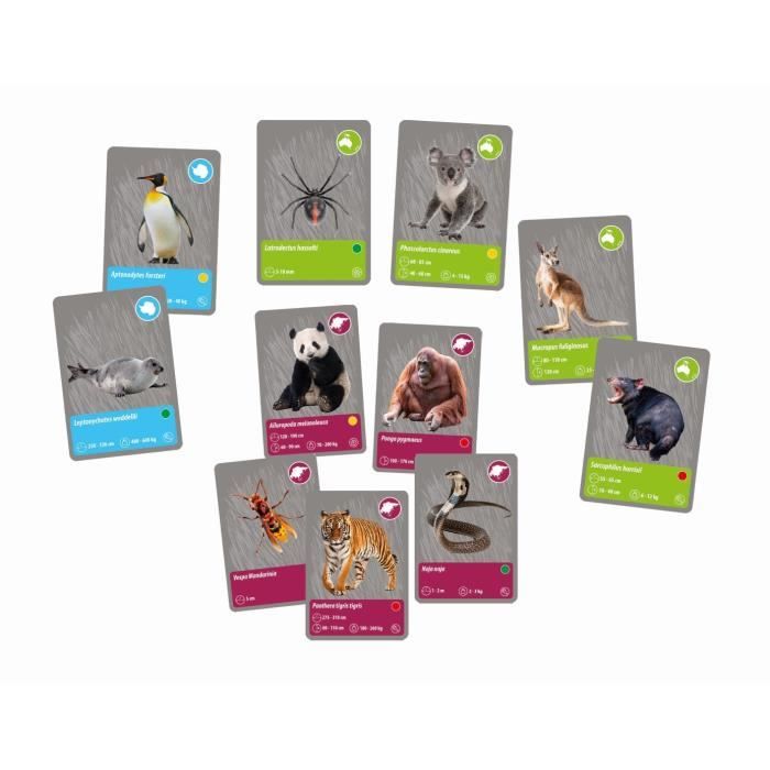 CLEMENTONI - Animaux planete Réalité - Coffret scientifique - Experiences scientifiques et activités virutelles - Moules, peintures,