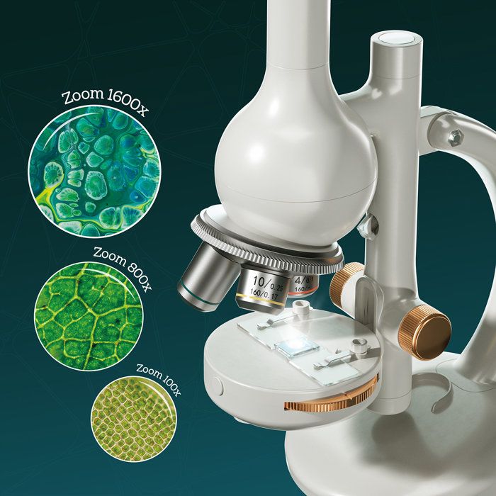 Canal Toys - So Science - Microscope édition labo avec grossissement jusqu'a 1600x, filtre RGB et support téléphone - COS 004