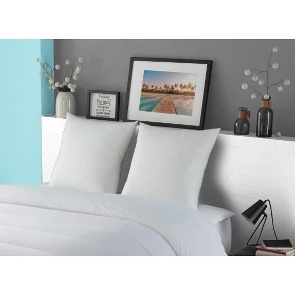Oreiller 100% Coton - Luxor - DODO - 60 x 60 cm - Blanc