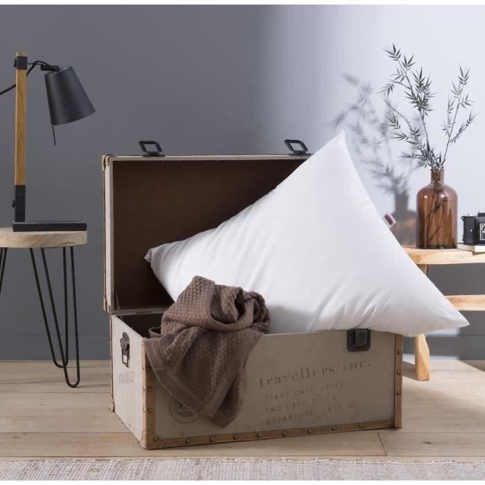 Oreiller Grand Luxe - DODO - Quallofil Allerban - 60 x 60 cm - Blanc