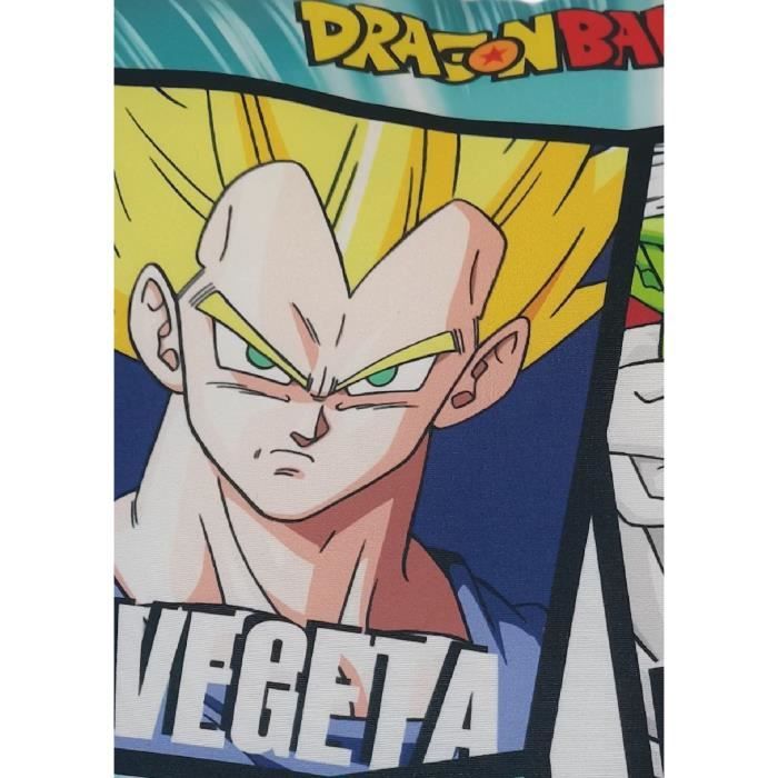 Coussin double face - Carré - DRAGON BALL Z - Microfibre - 40 x 40 cm