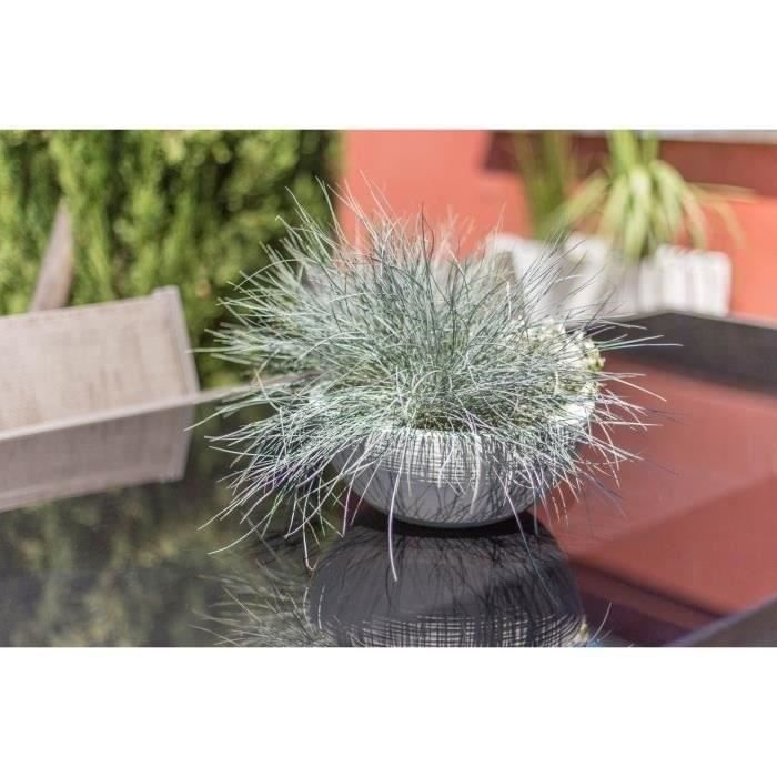 Pot vasque Ø 40 cm - EDA - Graphit Up - 14,9 L - Intérieur / Extérieur - Ø 40 x H. 16,5 cm - Blanc Cérusé