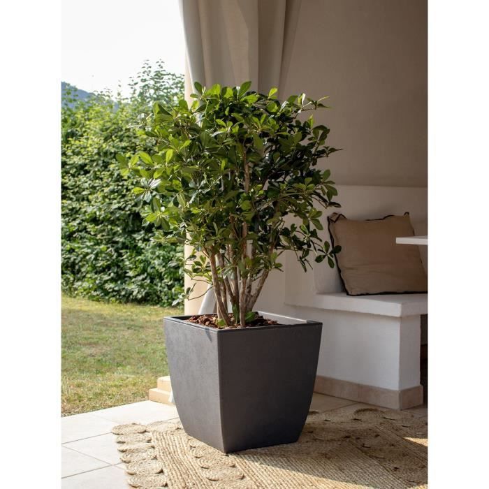 EDA Pot de fleurs Carré haut DIVA BASALT - 42 L - 43,5 x 43,5 x H.78.2 cm -Bac intérieur amovible - Gris anthracite