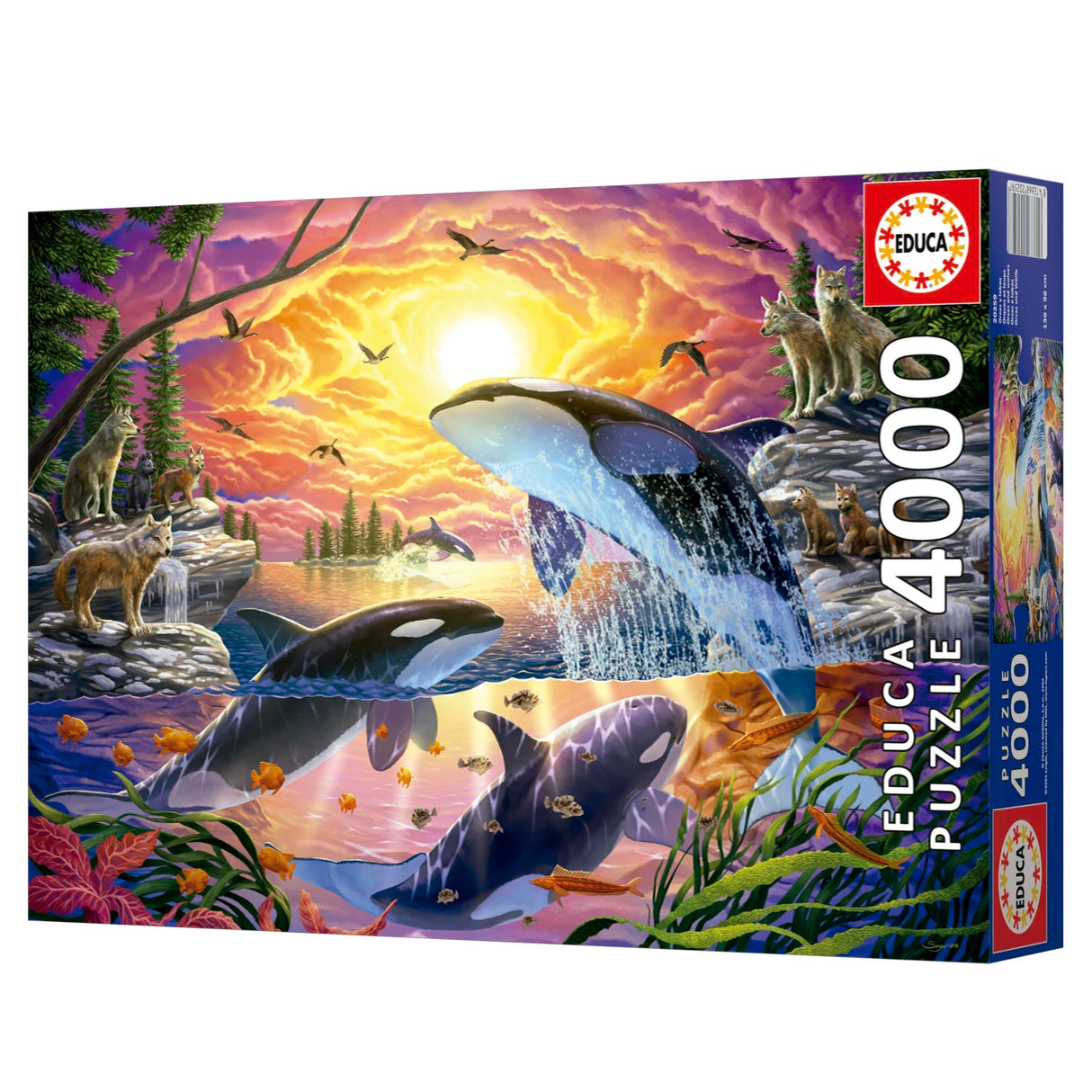 Puzzle - EDUCA - Orques et Loups - 4000 pieces - 136 x 96 cm - Pour adultes a partir de 15 ans
