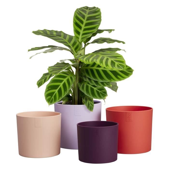 ELHO Pots de fleurs Lex Pott - Set 15 cm - Violet Rouge Rose Violet - L 15 x W 14.8 x H 14 cm - Intérieur - 100% recyclé