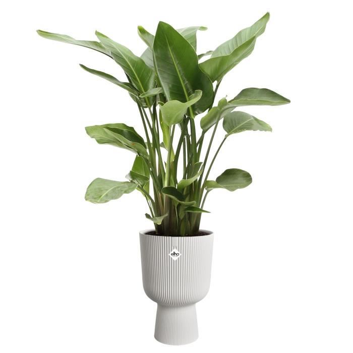 ELHO Pot de fleurs Vibes Fold Coupe - Blanc - Ø 29.5 x H 45 cm - Intérieur - 100% recyclé