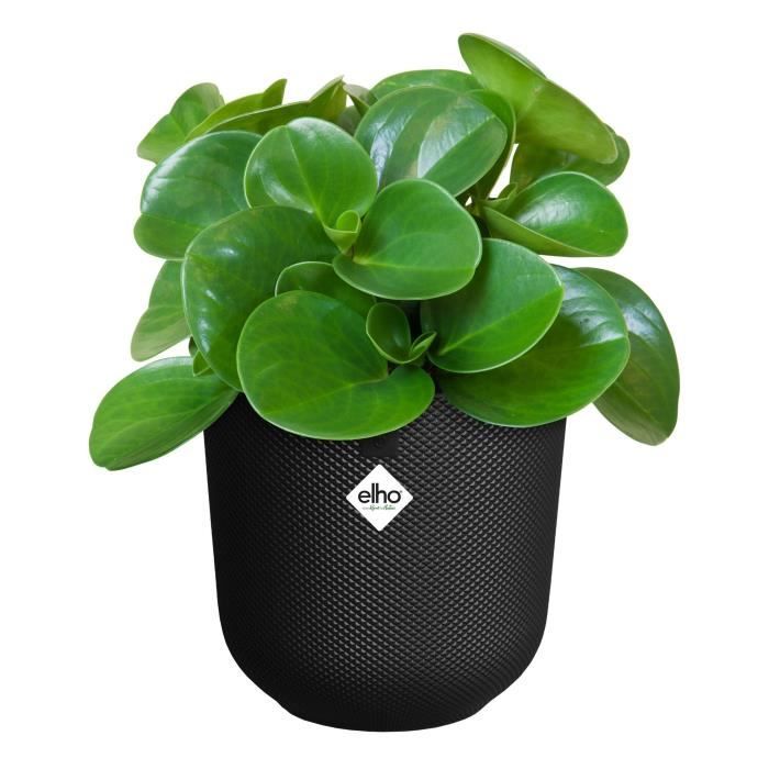 ELHO Pot de fleurs Jazz Rond - Noir - Ø 26 x H 24 cm - Intérieur - 100% recyclé