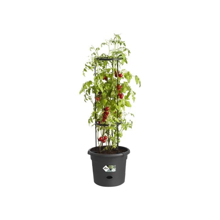 ELHO Pot a tomate Green Basics - Ø 33 x 25 cm - Noir vif