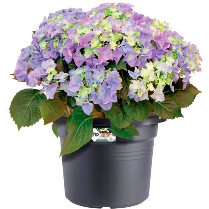 ELHO Pot de fleurs Rond GREEN BASICS - Plastique - Ø43,8 x H33,8 cm - Terre cuite doux