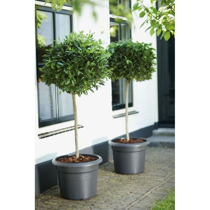 ELHO Pot de fleurs Rond GREEN BASICS - Plastique - Ø43,8 x H33,8 cm - Terre cuite doux