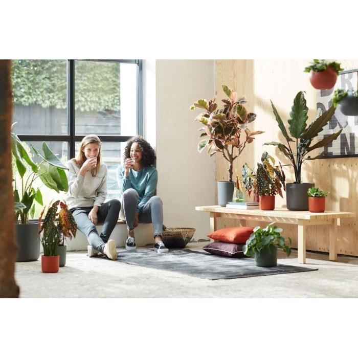 ELHO Pot de fleurs rond B.for Soft - Noir - Ø 35 x H 32 cm - Intérieur - 100% recyclé
