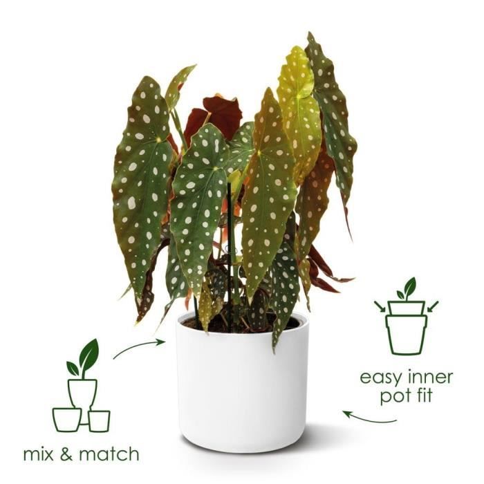 ELHO Pot de fleurs rond B.for Soft - Noir - Ø 35 x H 32 cm - Intérieur - 100% recyclé