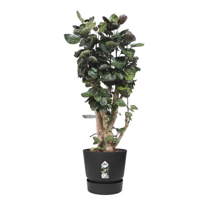 ELHO Pot de fleurs rond Greenville - Ø 47 x H 44 cm - Extérieur - 100% recyclé - Noir