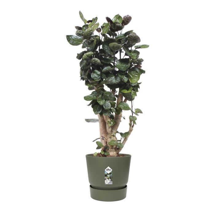 ELHO Pot de fleurs rond Greenville 47 - Extérieur - Ř 47 x H 44,1 cm - Vert feuille