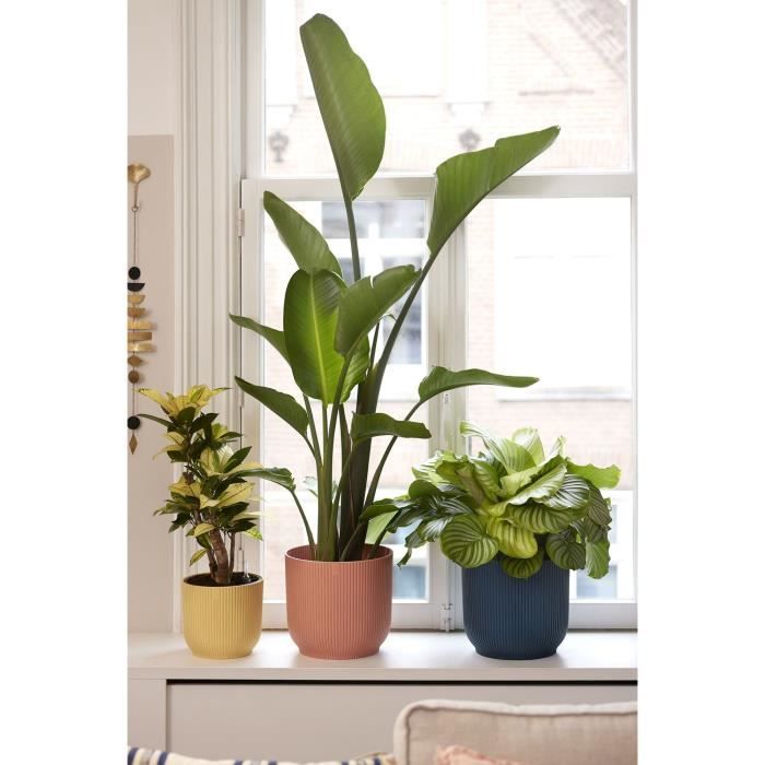 ELHO Pot de fleurs Rond VIBES - Ø25 x H23cm - Plastique - Rose poudré