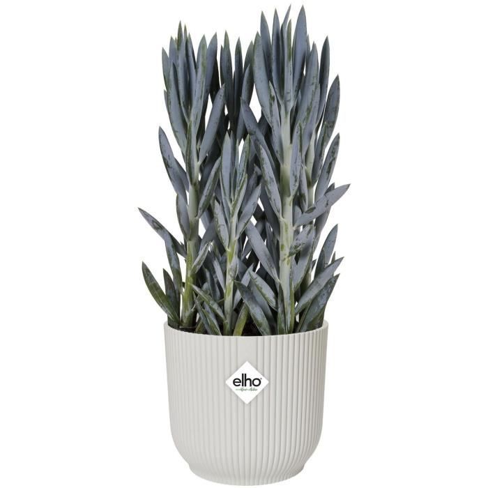 ELHO Pot de fleurs Rond VIBES - Plastique - Ø25xH 23.0 cm - Blanc/Blanc soie