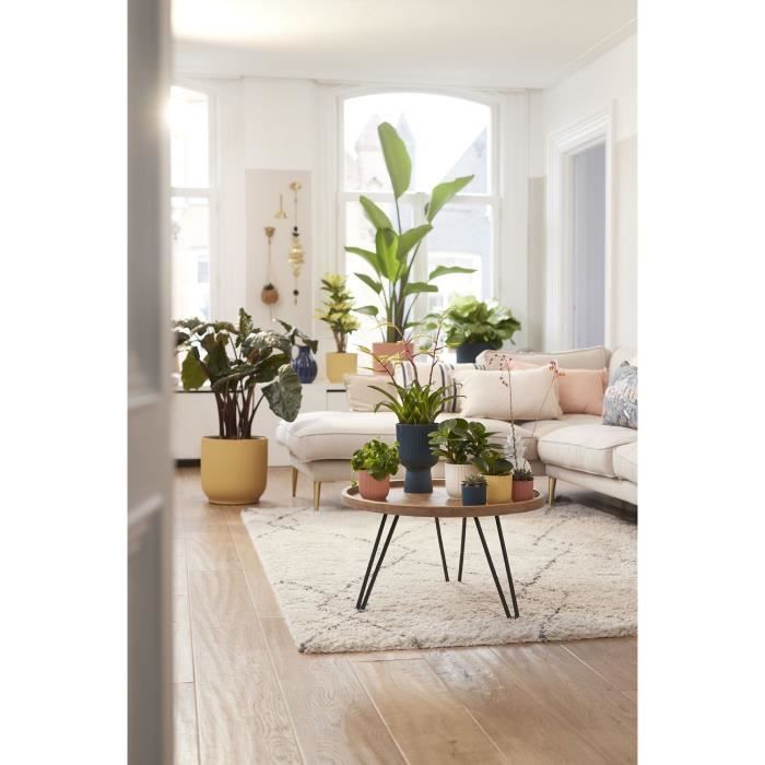 ELHO Pot de fleurs Rond VIBES - Plastique - Ø25xH 23.0 cm - Blanc/Blanc soie