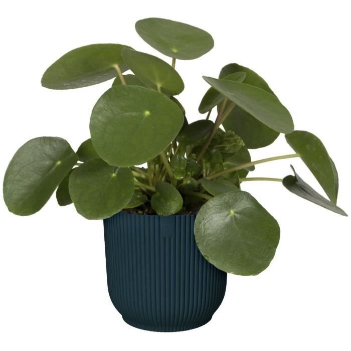 ELHO Pot de fleurs Rond VIBES - Ø25 x H23cm - Plastique - Bleu Foncé