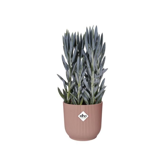 ELHO Pot de fleurs rond avec roues Vibes Fold - Ř 35 x H 32 cm - Intérieur - 100% recyclé - Rose