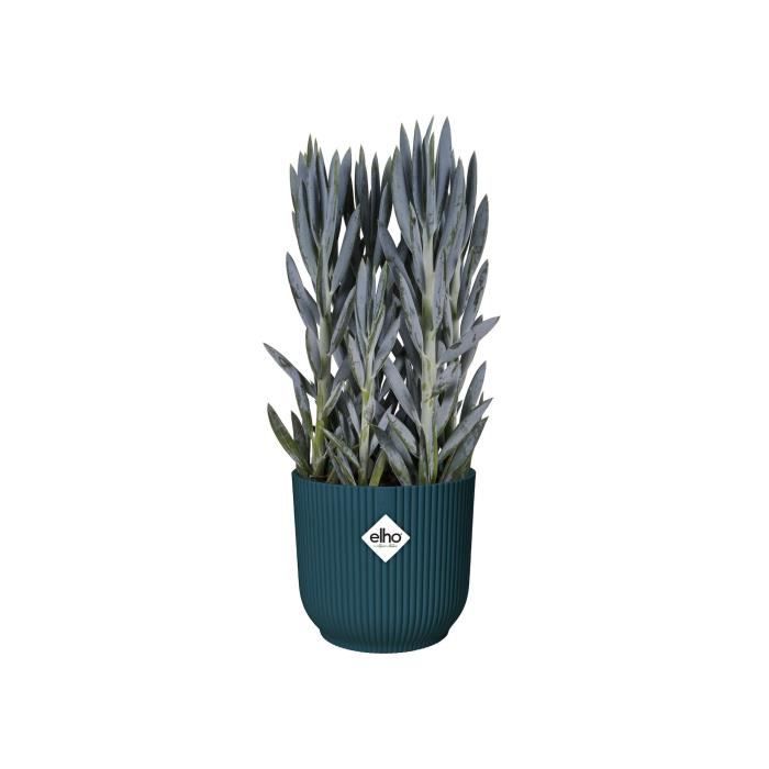 ELHO Pot de fleurs rond avec roues Vibes Fold - Ø 35 x H 32 cm - Intérieur - 100% recyclé - Bleu