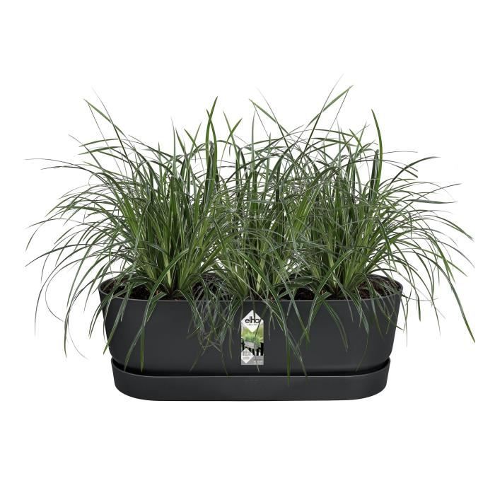 ELHO Balconniere Greenville Easy Balcony 52 - Living Noir - Balcon - L 21.2 x W 52 x H 19.4 cm
