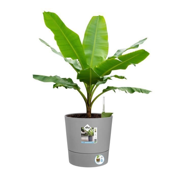 ELHO Pot de fleurs rond GREENSENSE AQUA CARE - 15 L - 29,5 x 29,,5 x H 29,1 cm - Ciment Clair - Plastique