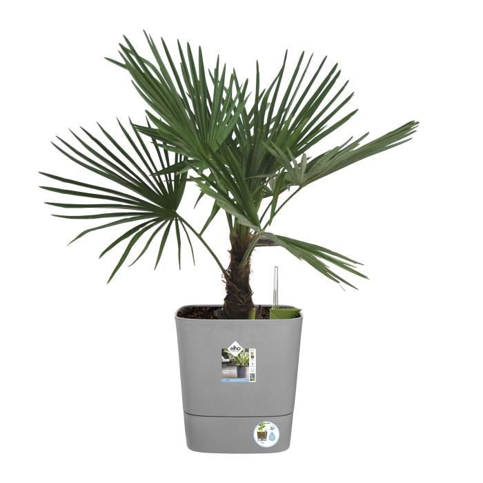 ELHO Pot de fleurs Greensense Aqua Care Carré 38 - Ciment Clair - Intérieur/extérieur - Ø 38 x H 38.9 cm
