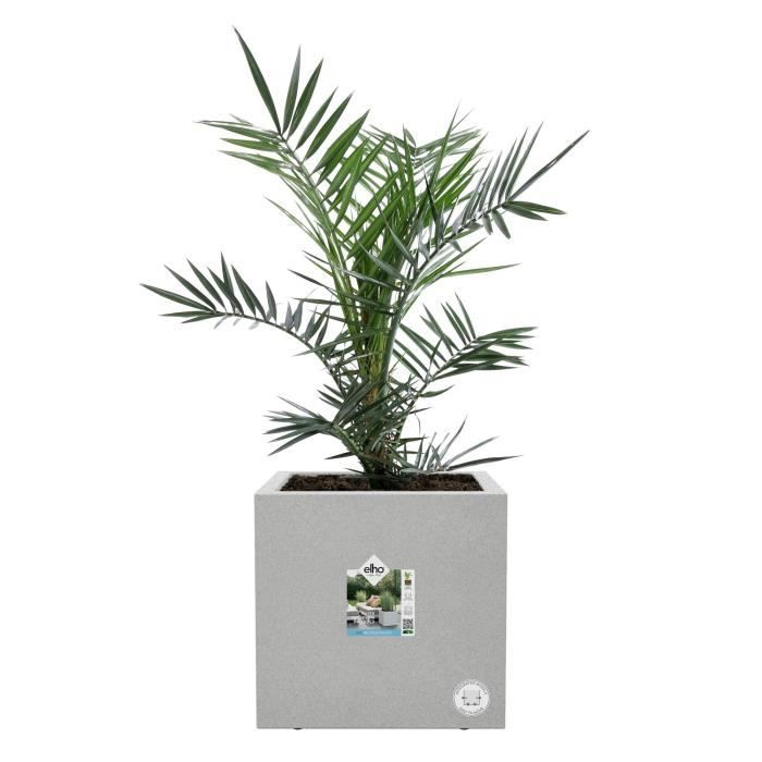 ELHO Bac a fleurs Vivo Next Square 30 - Ø 30 x H 29 cm - Intérieur,Extérieur - 100% recyclé - Gris