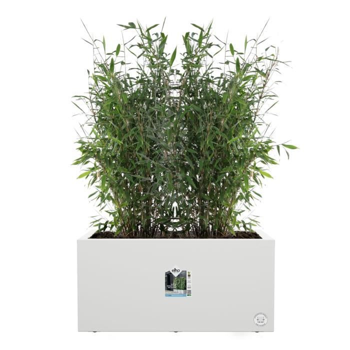 ELHO Bac a fleurs Vivo Next Long 60 - L 59 x W 30 x H 29 cm - Intérieur,Extérieur - 100% recyclé - Blanc