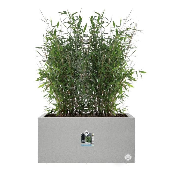 Elho Bac a fleurs Vivo Next Long 60 - L 59 x W 30 x H 29 cm - Intérieur,Extérieur - 100% recyclé - Gris