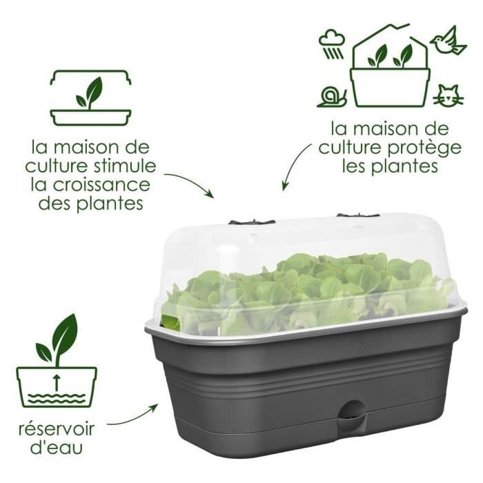 ELHO Bac a culture Green Basics Allin1 Large - L 39 x B 23 x H 15 cm - culture et récolte - 100% recyclé - Noir
