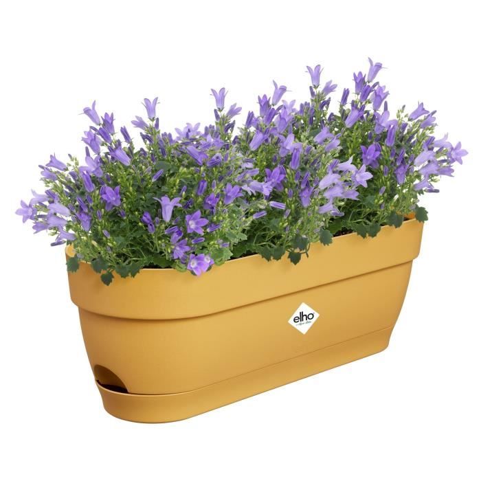 ELHO Balconniere ovale Vibia Campana - Plastique - Réservoir - 50 x 18,2 H 17 cm - Jaune Miel