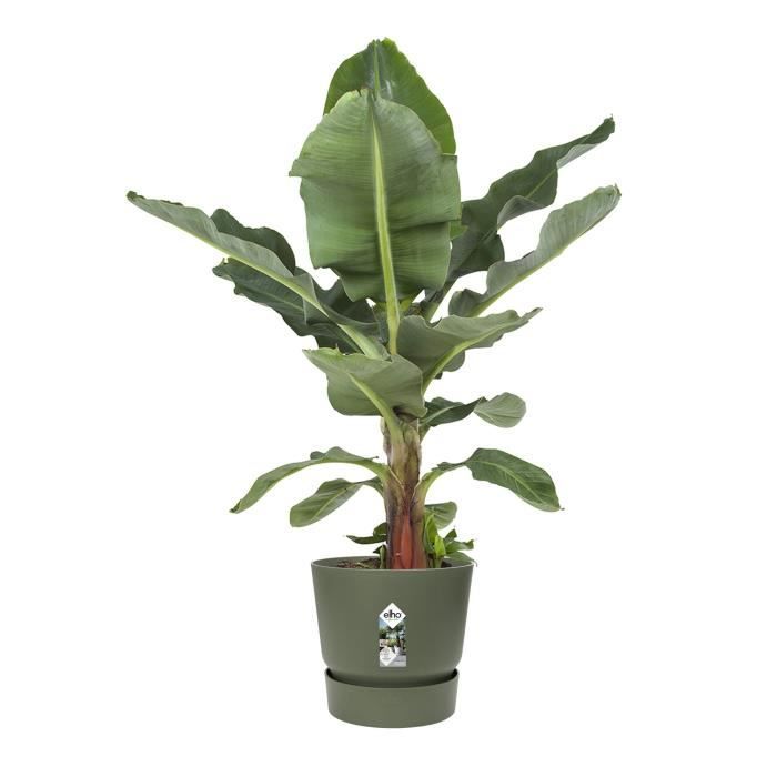 ELHO Pot de fleurs rond Greenville - Ř 55 x H 50 cm - Extérieur - 100% recyclé - Vert