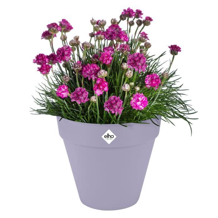 ELHO Pot de fleurs Loft Urban Rond avec roues - Violet - Ø 38.5 x H 35 cm - Extérieur - 100% recyclé