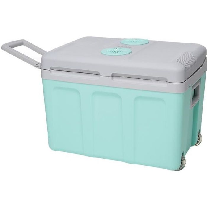 Glaciere thermoélectrique INCASA 40L - Alimentation 12/220V - Vert - Idéale pour l'été en voiture