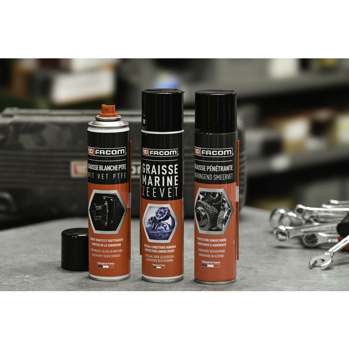 FACOM Graisse pénétrante - Résistante - Hydrophobe - 300 ml