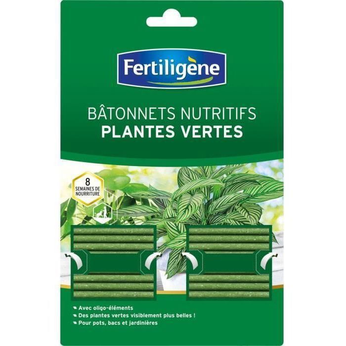 Bâtonnets nutritifs x 40 - FERTILIGENE - Nutrition plantes vertes - FBPV