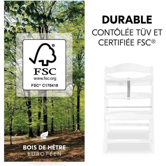 Chaise haute - HAUCK - ALPHA+B - Evolutive - De 6 mois a 90 kg - Bois FSC - Harnais 5 points - Blanc