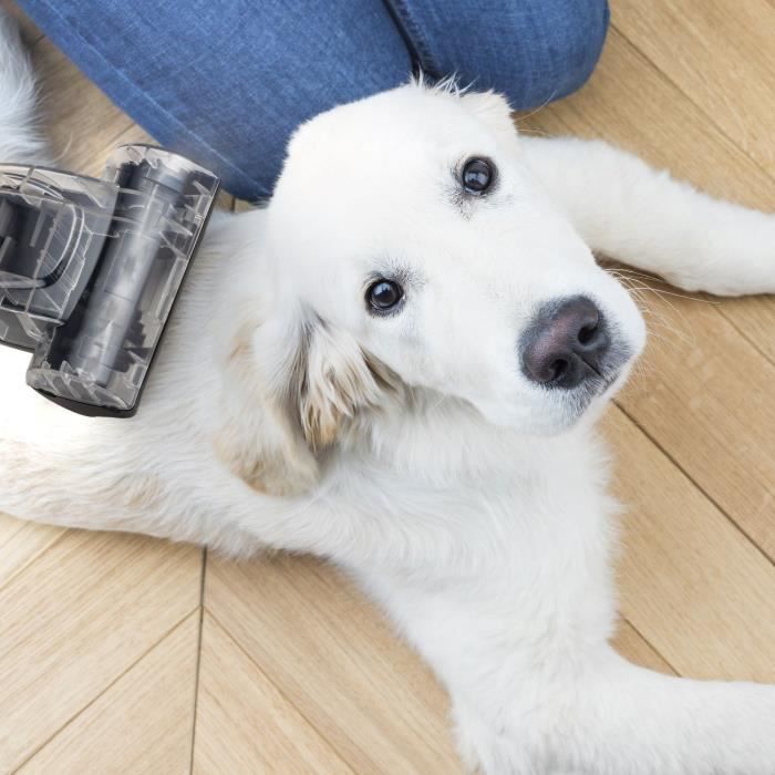 Aspirateur traîneau sans sac - H.KoeNIG STC58 - 850 W - 79 dB - Classe A - 2,5 L