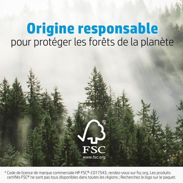 Papier photo glacÈ HP AvancÈe - 250 g/m2 - 4 x 12 pouces - 10 feuilles