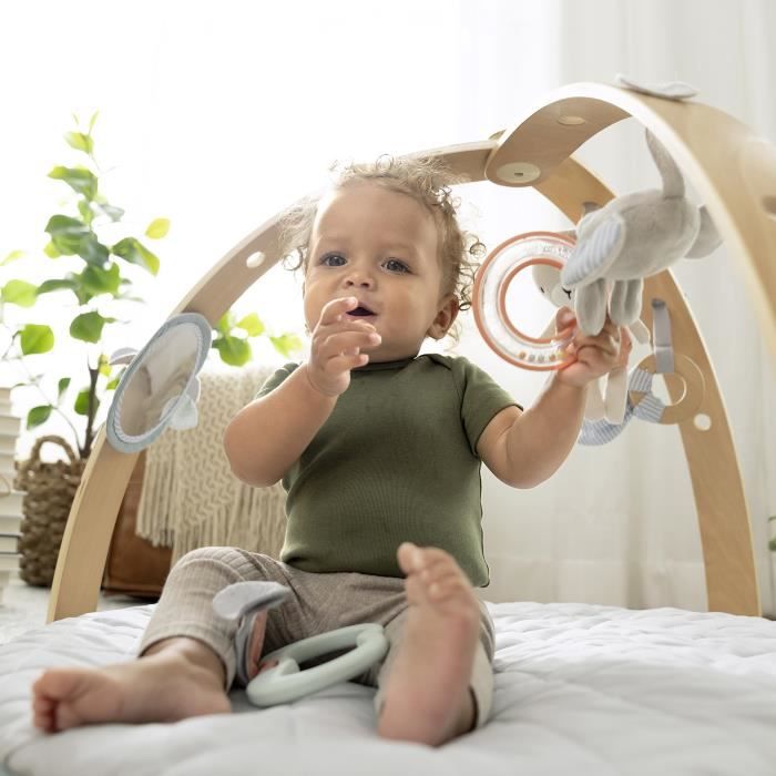 INGENUITY Tapis d'éveil réversible bébé évolutif - Loamy™ - pliable, arche de jeu en bois amovible, 5 jouets,cadeau bébé