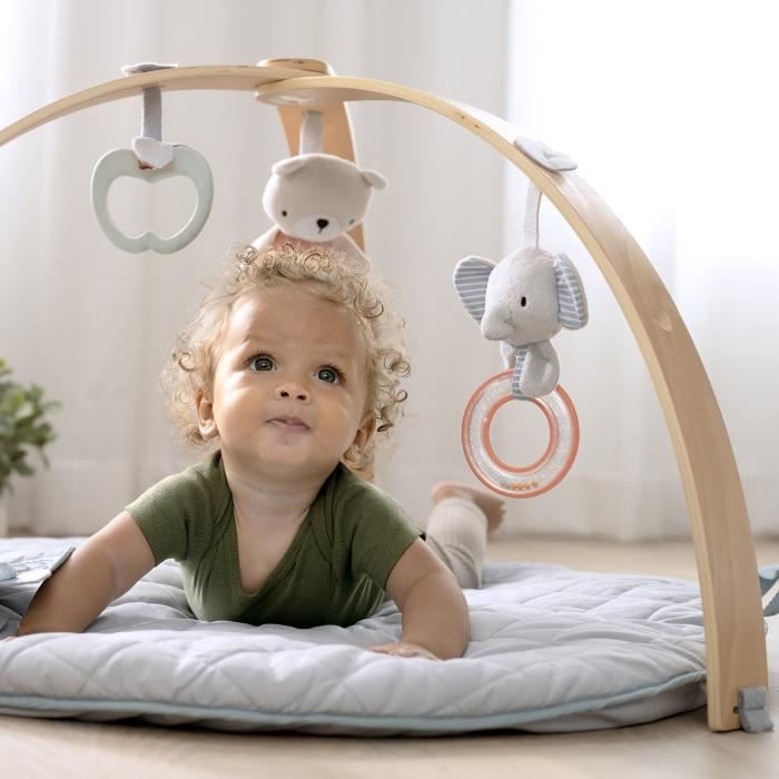 INGENUITY Tapis d'éveil réversible bébé évolutif - Loamy - pliable, arche de jeu en bois amovible, 5 jouets,Cadeau Noel bébé