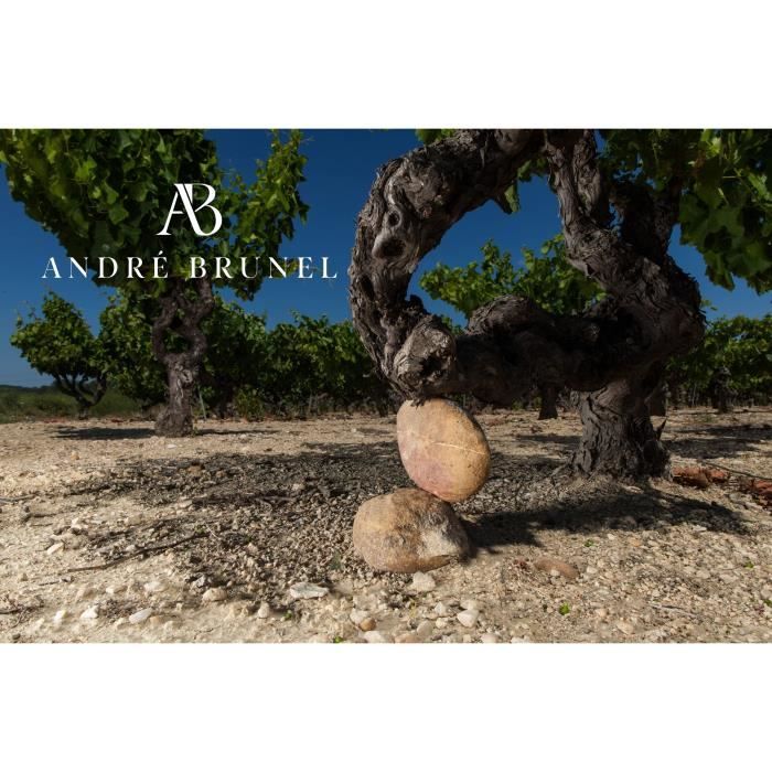 Domaine André Brunel 2024 L'instant rosé Méditérranée - Vin rosé de la Vallée du Rhône
