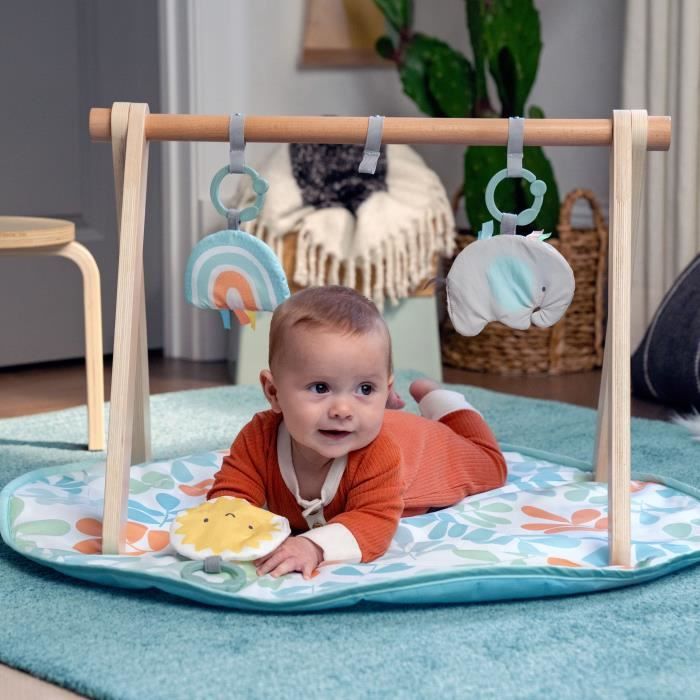INGENUITY Tapis d'éveil bébé Sun Valley, arche de jeu en bois - 3 jouets amovibles - pliable